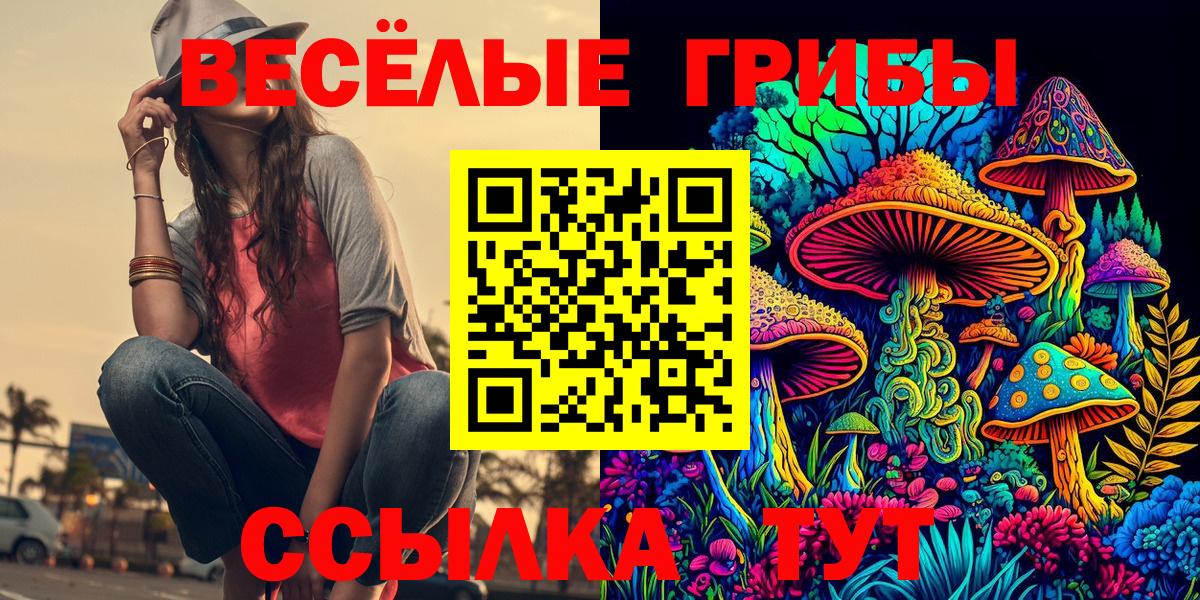Псилоцибиновые грибы мицелий Мыски